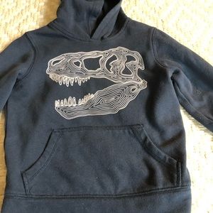 Dino hoody